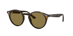 710/73 Light Havana Frame | Dark Brown Lens