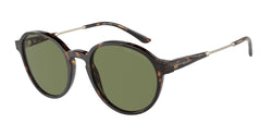 50262A Havana Frame | Green Lens