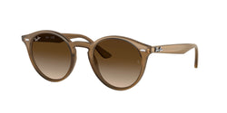 616613 Turtledove Frame | Brown Gradient Lens