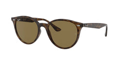 710/73 Light Havana Frame | Dark Brown Lens