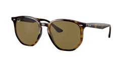 710/73 Light Havana Frame | Dark Brown Lens