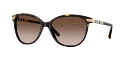 300213 Dark Havana Frame | Brown Gradient Lens