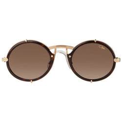 Tortoise Frame | Brown Lens