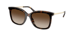 333313 Dark Tortoise Frame | Smoke Gradient Lens