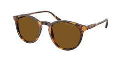 513483 Shiny Antique Havana Frame | Polar Brown Lens