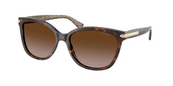 529113 Dark Tortoise Frame | Dark Brown Gradient Lens