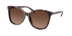 5120T5 Dark Tortoise Frame | Dark Brown Gradient Polar Lens