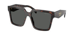 Root Tortoise Frame | Dark Grey Lens