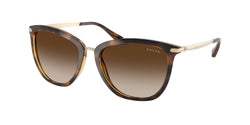 500313 Shiny Dark Havana Frame | Gradient Brown Lens