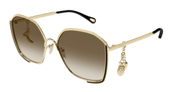 Gold 001 Frame | BROWN Lens
