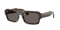 Havana Frame | Dark Grey Lens