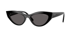 Black Frame | Black Smoke Lens