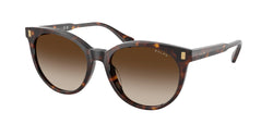 Shiny Dark Havana Frame | Brown Gradient Lens