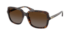 Shiny Dark Havana Frame | Polar Brown Gradient Lens