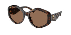 Dark Tortoise Frame | Brown Lens
