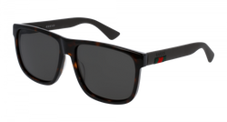 HavanaBROWN 003  Grey Polarized