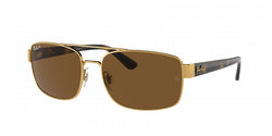 00157 Arista  Brown Polar