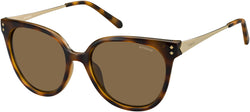 Havana 0R8V Frame | Brown Polarized IG Lens