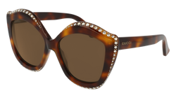 Havana 003 Frame | BROWN Lens