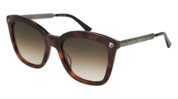 Havana/SILVER 002 Frame | BROWN Lens